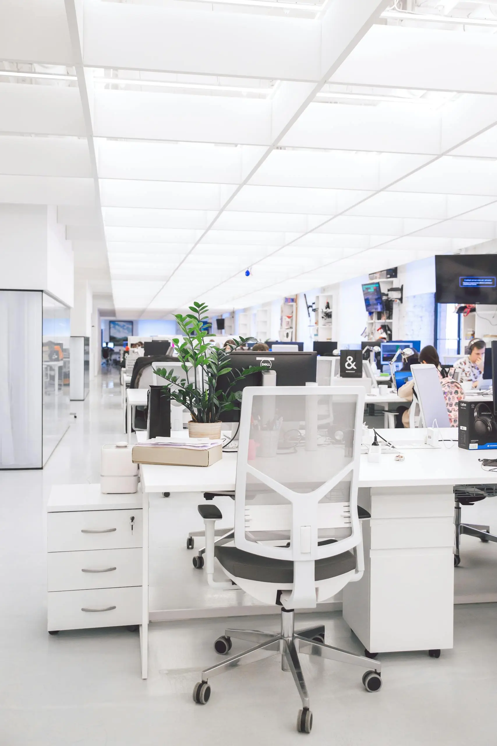Bright modern office interior with desks, chairs, and computers in an open-plan workspace.